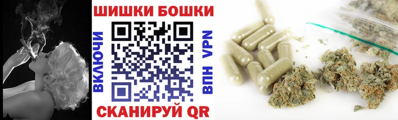 МЕФ Дрезна
