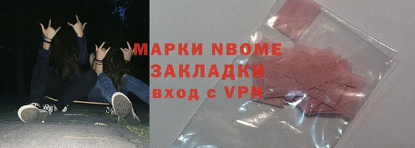 индика Алексин