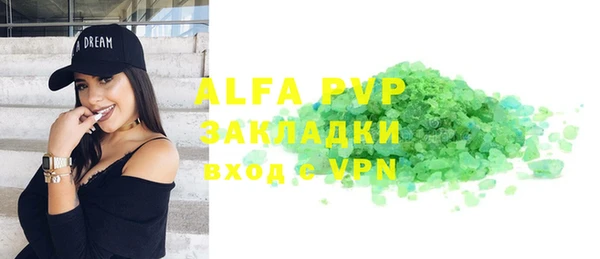 индика Алексин